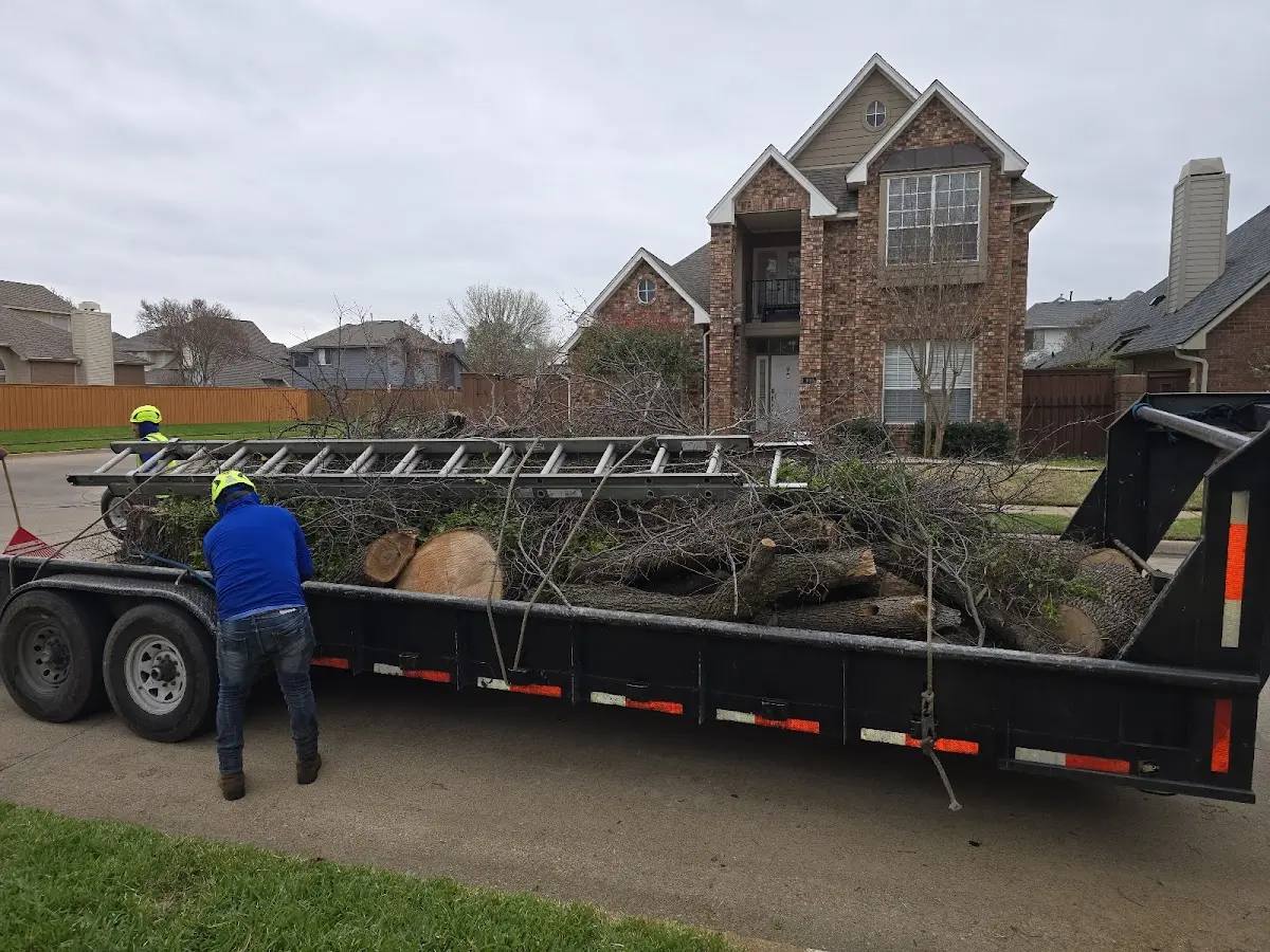 Expert Tree Pest Control with proper safety equipment in Rossville